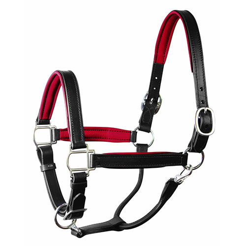 Horse Halter