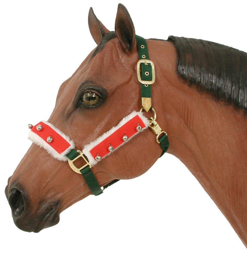 Horse Halter (NH-241)